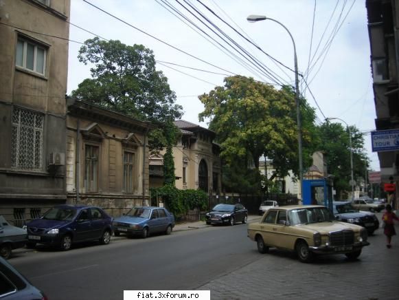 Frumuseti surprinse in trafic - un bot de cal frumusel, pe langa calea - Classic corner