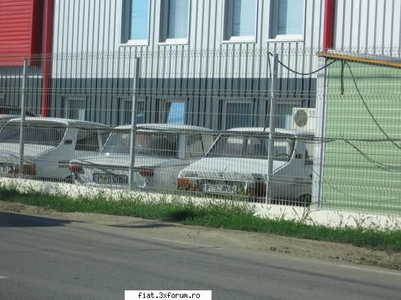 Frumuseti surprinse in trafic - tot otopeni , alt Fiat 1300 - Classic corner