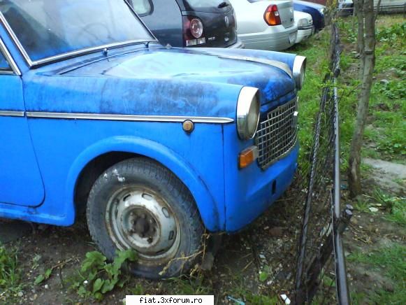 Frumuseti surprinse in trafic - george-bogdan - Classic corner