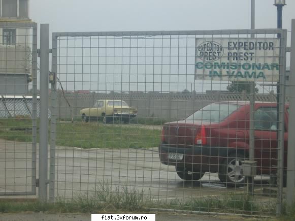 Frumuseti surprinse in trafic - george-bogdan - Classic corner
