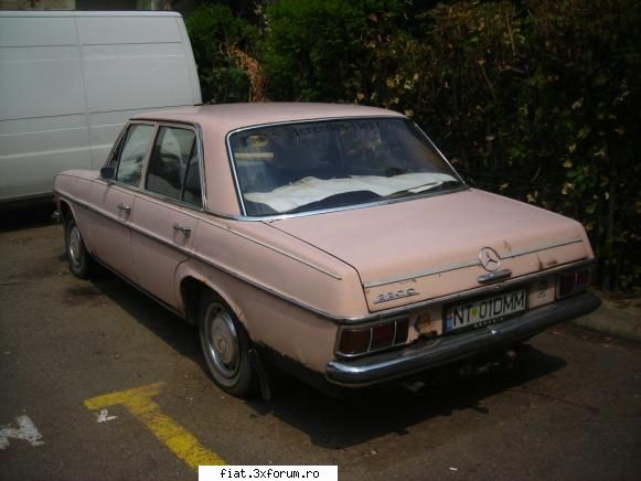 Frumuseti surprinse in trafic - o proapdenie de bot de cal - Classic corner