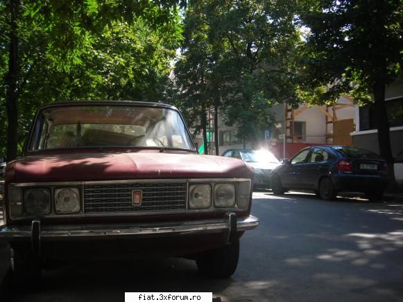 armonie frumuseti surprinse in trafic