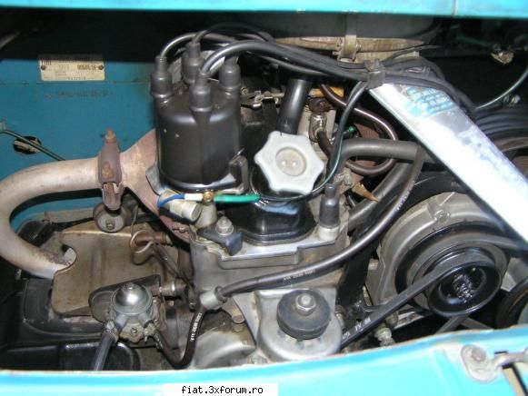 Frumuseti surprinse in trafic - citroends21 - Classic corner