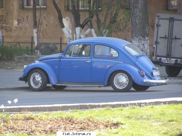 Frumuseti surprinse in trafic - O broscuta din Buzau fotografiata in Bucuresti pe - Classic corner