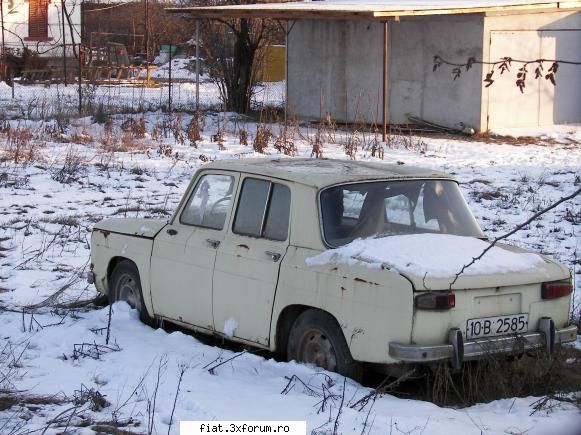 Frumuseti surprinse in trafic - hans112 - Classic corner