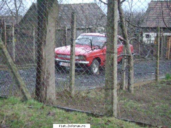 Frumuseti surprinse in trafic - Bug - Classic corner