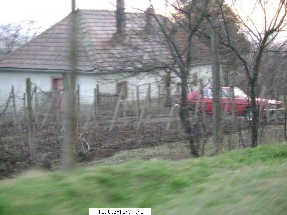 Frumuseti surprinse in trafic - Bug - Classic corner