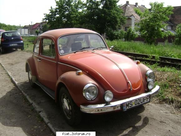 Frumuseti surprinse in trafic - Inca o broscuta din mures - Classic corner