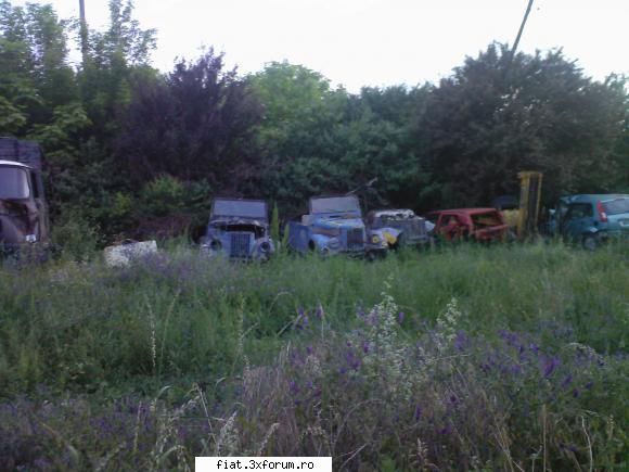 Frumuseti surprinse in trafic - mihu - Classic corner