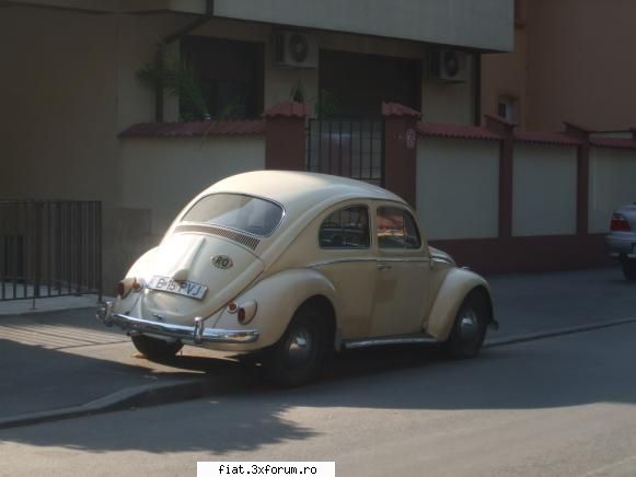 Frumuseti surprinse in trafic - Zona casei Doina - MULT mai frumoasa - Classic corner