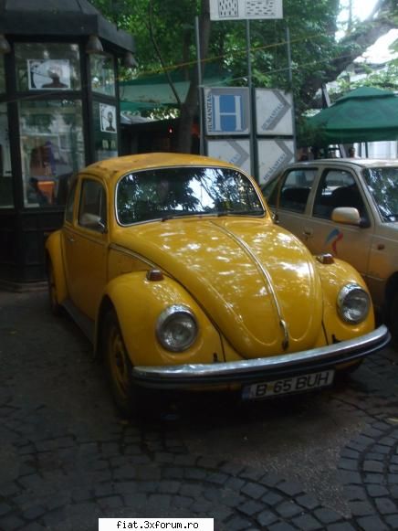 brotacelul de pe green days cafe, pe victoriei frumuseti surprinse in trafic