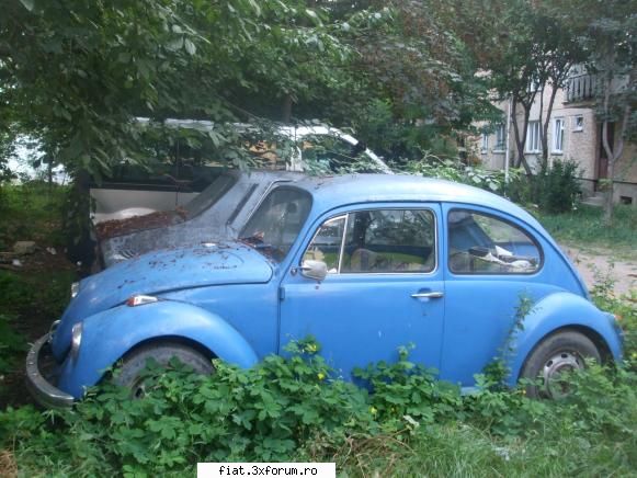 Frumuseti surprinse in trafic - Briscuta din nou .... sincer ca stiam mai tot ce - Classic corner