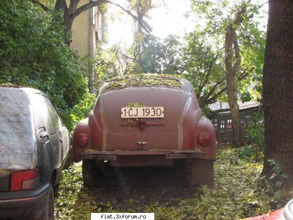 Frumuseti surprinse in trafic - citroends21 - Classic corner