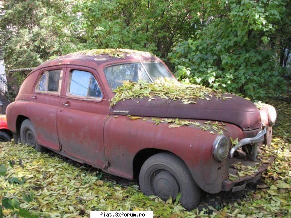 Frumuseti surprinse in trafic - citroends21 - Classic corner