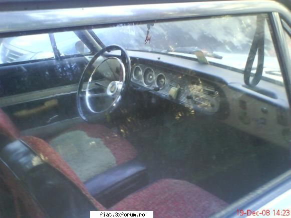 Frumuseti surprinse in trafic - Bug - Classic corner
