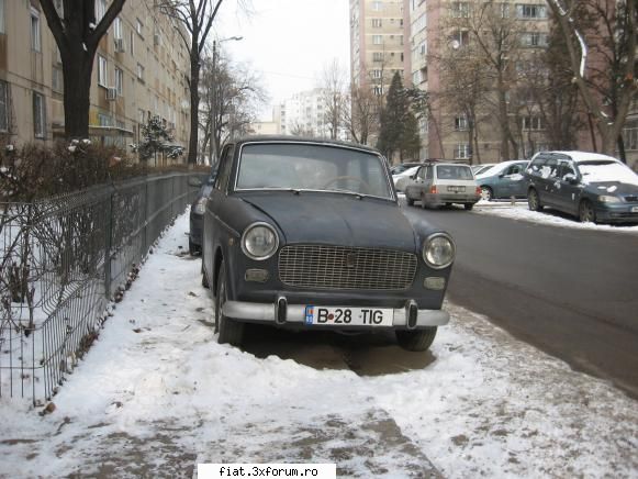 Frumuseti surprinse in trafic - Am mai gasit unu azi prin drumul taberei, 1100 de - Classic corner