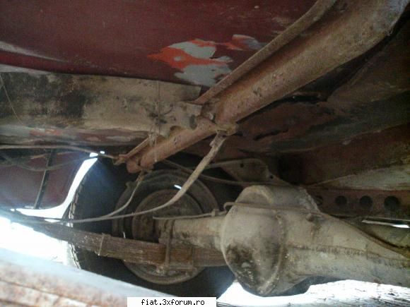 Frumuseti surprinse in trafic - b12vyp - Classic corner