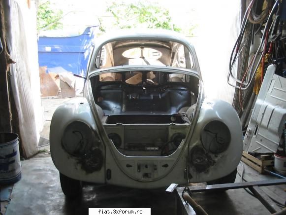 Frumuseti surprinse in trafic - o broasca in garajul in care se repara :P o tot - Classic corner
