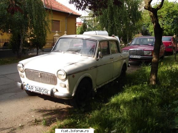 Frumuseti surprinse in trafic - Ca tot e forumul fiat, iata un Fiat 1100 D - Classic corner