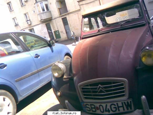 Frumuseti surprinse in trafic - Am vazut azi pe valea cascadelor pe cineva cu un - Classic corner