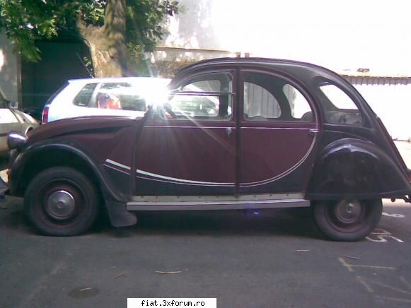 Frumuseti surprinse in trafic - medic_reporting - Classic corner