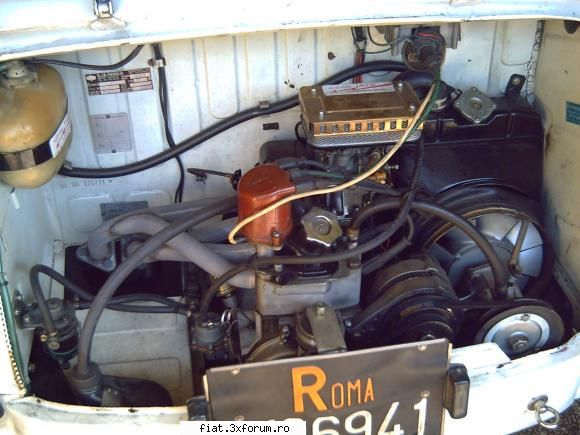 Frumuseti surprinse in trafic - ricky_siram - Classic corner