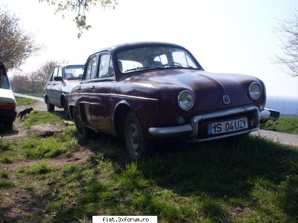 Frumuseti surprinse in trafic - Un Dauphine , in Iasi ar mai fi vreo 2 sau 3 doar - Classic corner