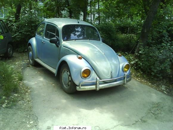 Frumuseti surprinse in trafic - Doua broscute prin Iasi. Prima - Classic corner