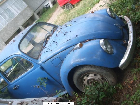Frumuseti surprinse in trafic - foarte frumos!Broasca abandonata - Classic corner