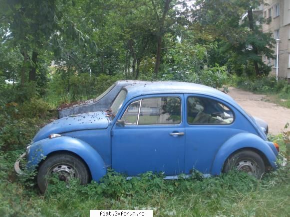 Frumuseti surprinse in trafic - Broasca din nou - Classic corner