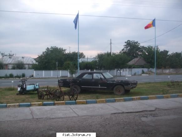 Frumuseti surprinse in trafic - PECO, judetul Bacau, Valea Seaca parca, e pe E85 - Classic corner