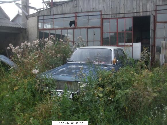 Frumuseti surprinse in trafic - Motor Diesel neoriginal din pacate, sta din 1996 - Classic corner