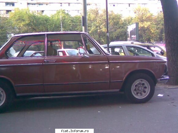 Frumuseti surprinse in trafic - Cica e de vanzare. 6000 de euro - Classic corner
