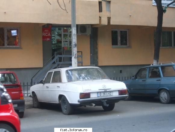 Frumuseti surprinse in trafic - Bot de cal in Tei - Classic corner