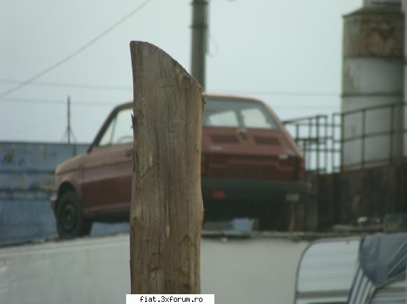 Frumuseti surprinse in trafic - A se vedea polski-u ala mic cocotat sus - Classic corner