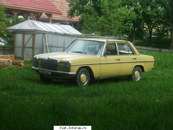 Frumuseti surprinse in trafic - robert700x - Classic corner
