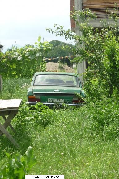 Frumuseti surprinse in trafic - Tot Tg Neamt, potential o sora pentru Natasha dar - Classic corner