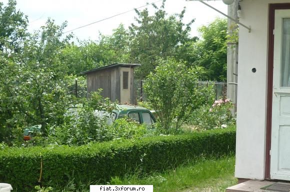 Frumuseti surprinse in trafic - Adrian - Classic corner