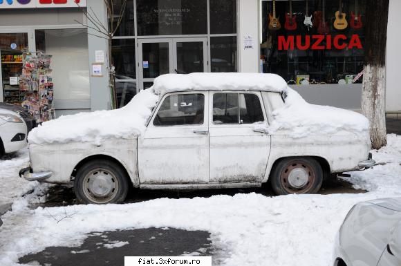 Frumuseti surprinse in trafic - stiu ca e plina de zapada dar este si ea in - Classic corner