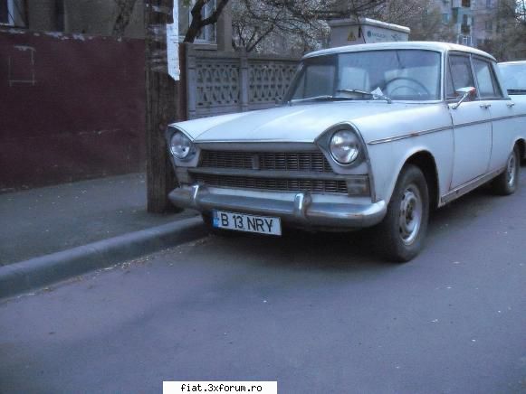 Frumuseti surprinse in trafic - danielomihai - Classic corner