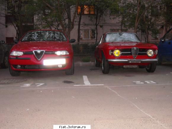 Frumuseti surprinse in trafic - danielomihai - Classic corner