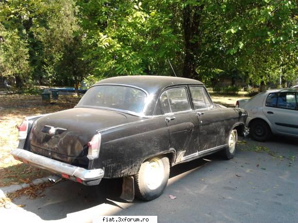 Frumuseti surprinse in trafic - Pentru profani sunt niste rable, pentru - Classic corner
