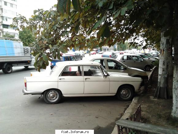 Frumuseti surprinse in trafic - medic_reporting - Classic corner