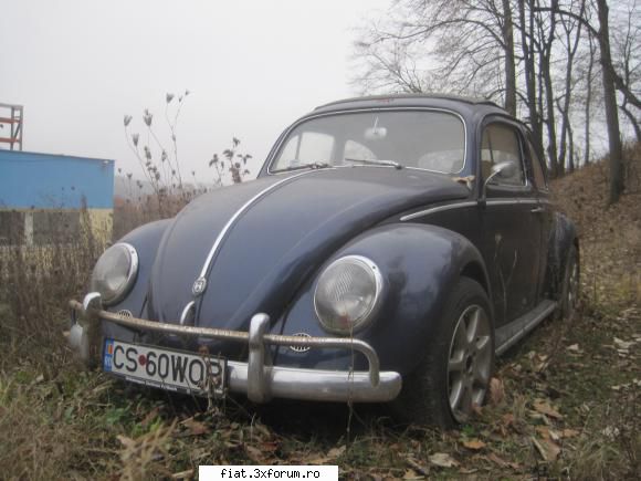 Frumuseti surprinse in trafic - yokomy - Classic corner