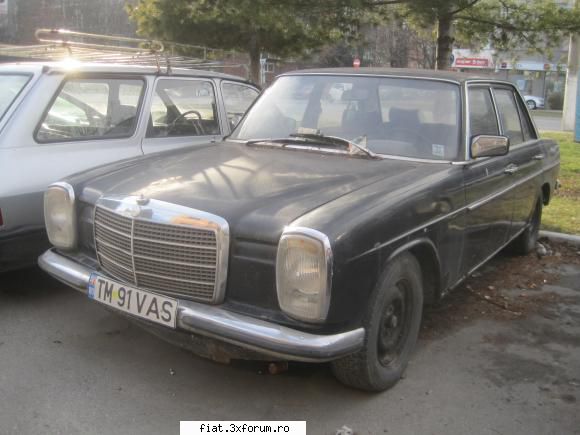 Frumuseti surprinse in trafic - mertz bot de cal - Classic corner