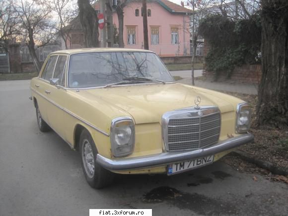 Frumuseti surprinse in trafic - inca un bot de cal - Classic corner