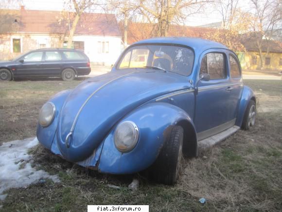 Frumuseti surprinse in trafic - brotac lasat in voia sortii - Classic corner