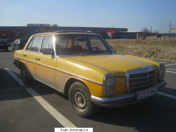 Frumuseti surprinse in trafic - un bot de cal care mi-a iesit azi in cale prin - Classic corner