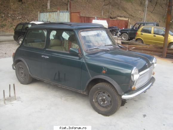 Frumuseti surprinse in trafic - si un mini gasit azi prin zona resitei cat de - Classic corner