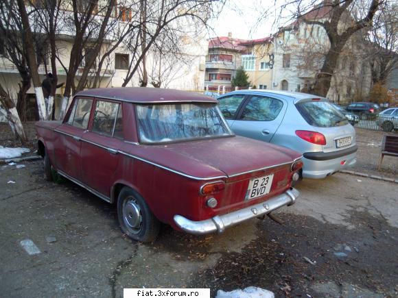 Frumuseti surprinse in trafic - nnn1310 - Classic corner
